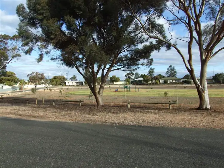 Second view of Homely house listing, 8 Paddick St, Berri SA 5343