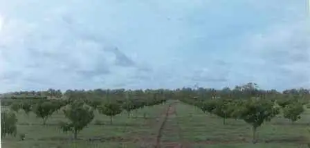 Second view of Homely rural property listing, 3187 Lansdowne Road, Katherine NT 850
