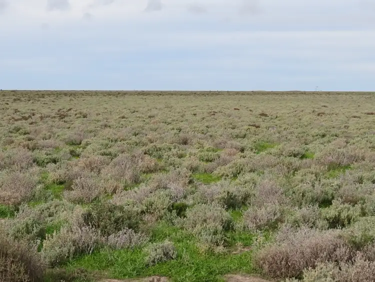 Fourth view of Homely rural property listing, - Thelangerin Road, Hay NSW 2711