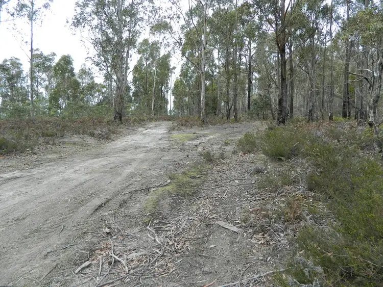 Fourth view of Homely land listing, 0 Bluff Road, Elderslie TAS 7030