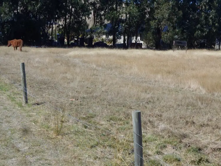 Third view of Homely land listing, 75 Inkerman Street, Triabunna TAS 7190
