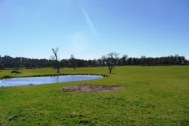 Seventh view of Homely rural property listing, 89 Lindsays Road, Whitemore TAS 7303