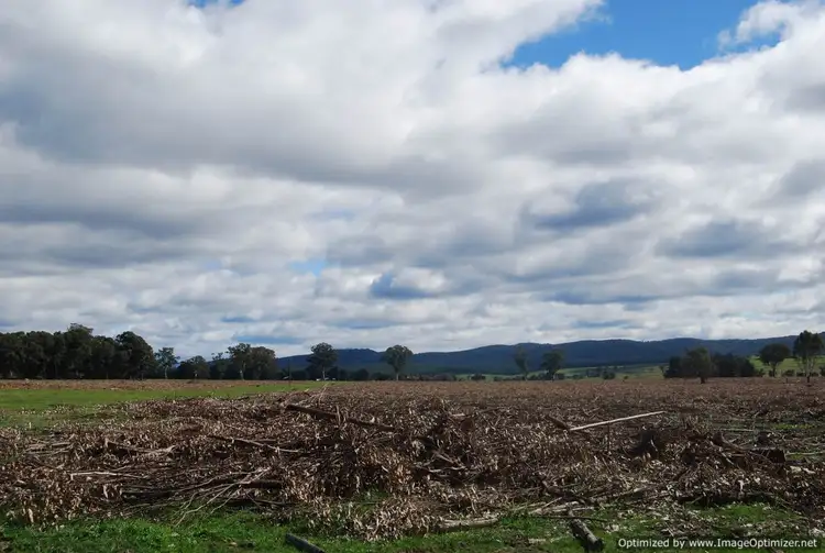 Second view of Homely rural property listing, 00 Stockdale-Fernbank Road, Stockdale VIC 3862