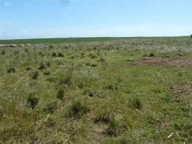 Fourth view of Homely land listing, 0 Saleyards Road, Allendale East SA 5291
