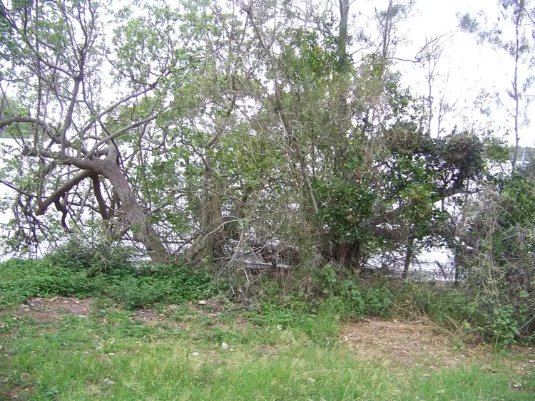 Sixth view of Homely land listing, 70 MELALEUCA DR, Lamb Island QLD 4184