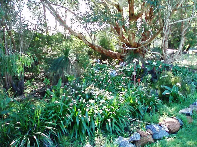 Sixth view of Homely house listing, 80 (Lot 6) Matthews Road, Augusta WA 6290