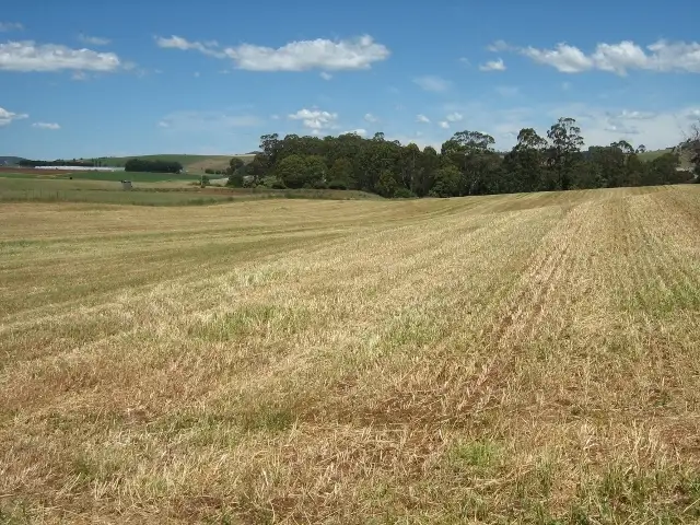 Seventh view of Homely rural property listing, 464 Stubbs Road, Forth TAS 7310