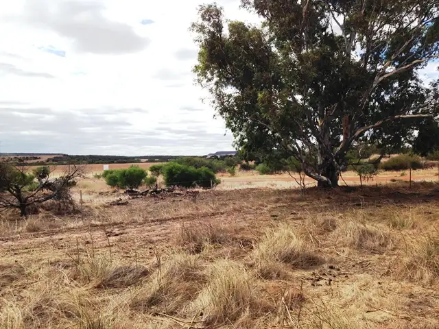 Second view of Homely rural property listing, Lot 125 Urch Road, Narra Tarra WA 6532