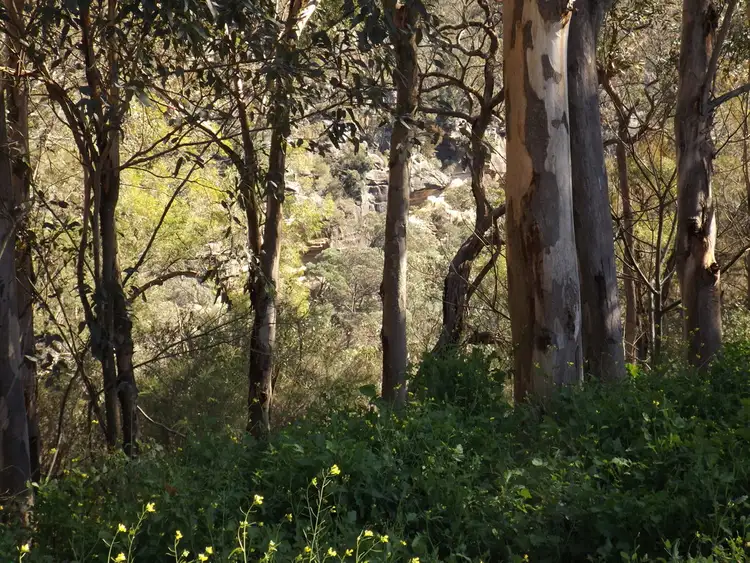 Fifth view of Homely land listing, 145 Charles Road, Pheasants Nest NSW 2574