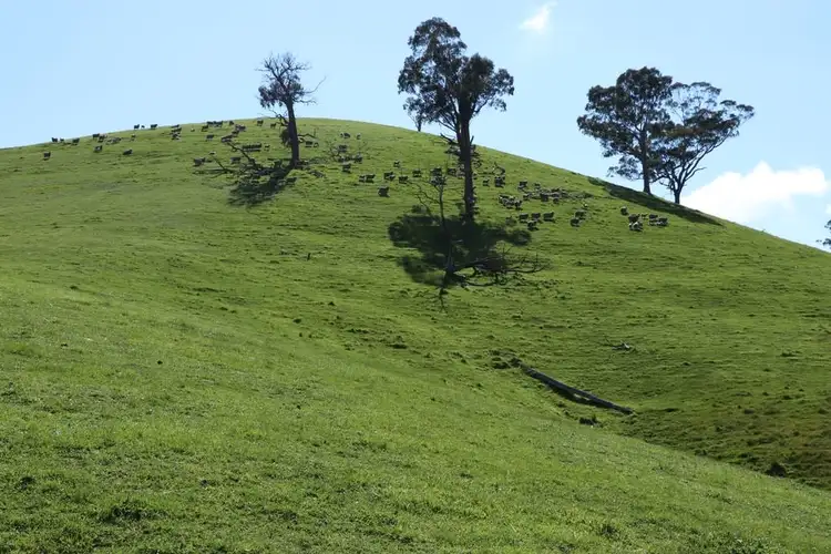Fifth view of Homely rural property listing, 239 Murrindindi Road, Murrindindi VIC 3717