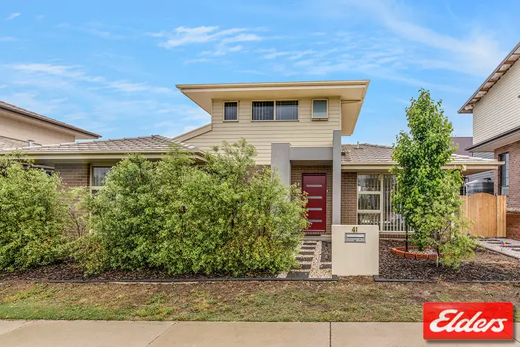 Main view of Homely house listing, 41 Abena Avenue, Crace ACT 2911
