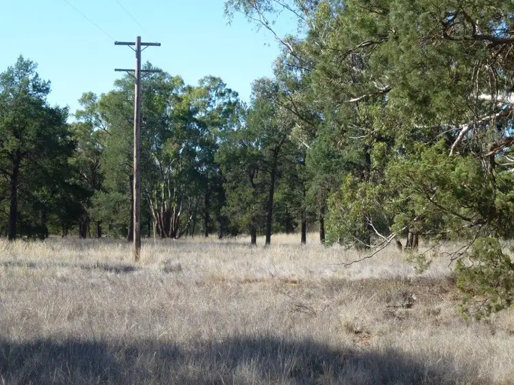 KAKADU FOREST BLOCK, Jerilderie NSW 2716
