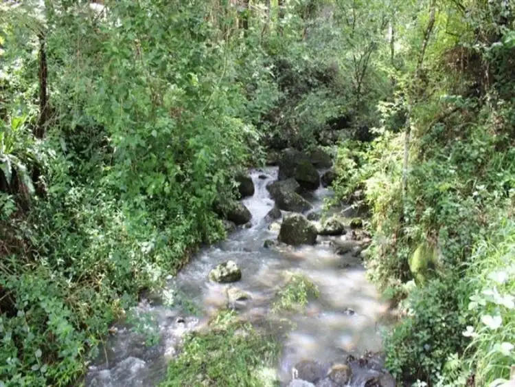 Second view of Homely rural property listing, 7/929 Blue Knob Road, Blue Knob NSW 2480