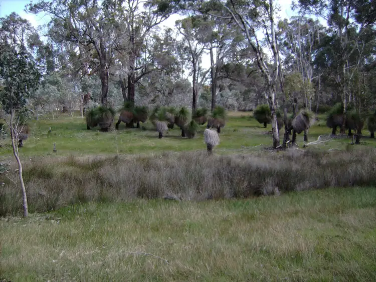 Fifth view of Homely rural property listing, Address available on request