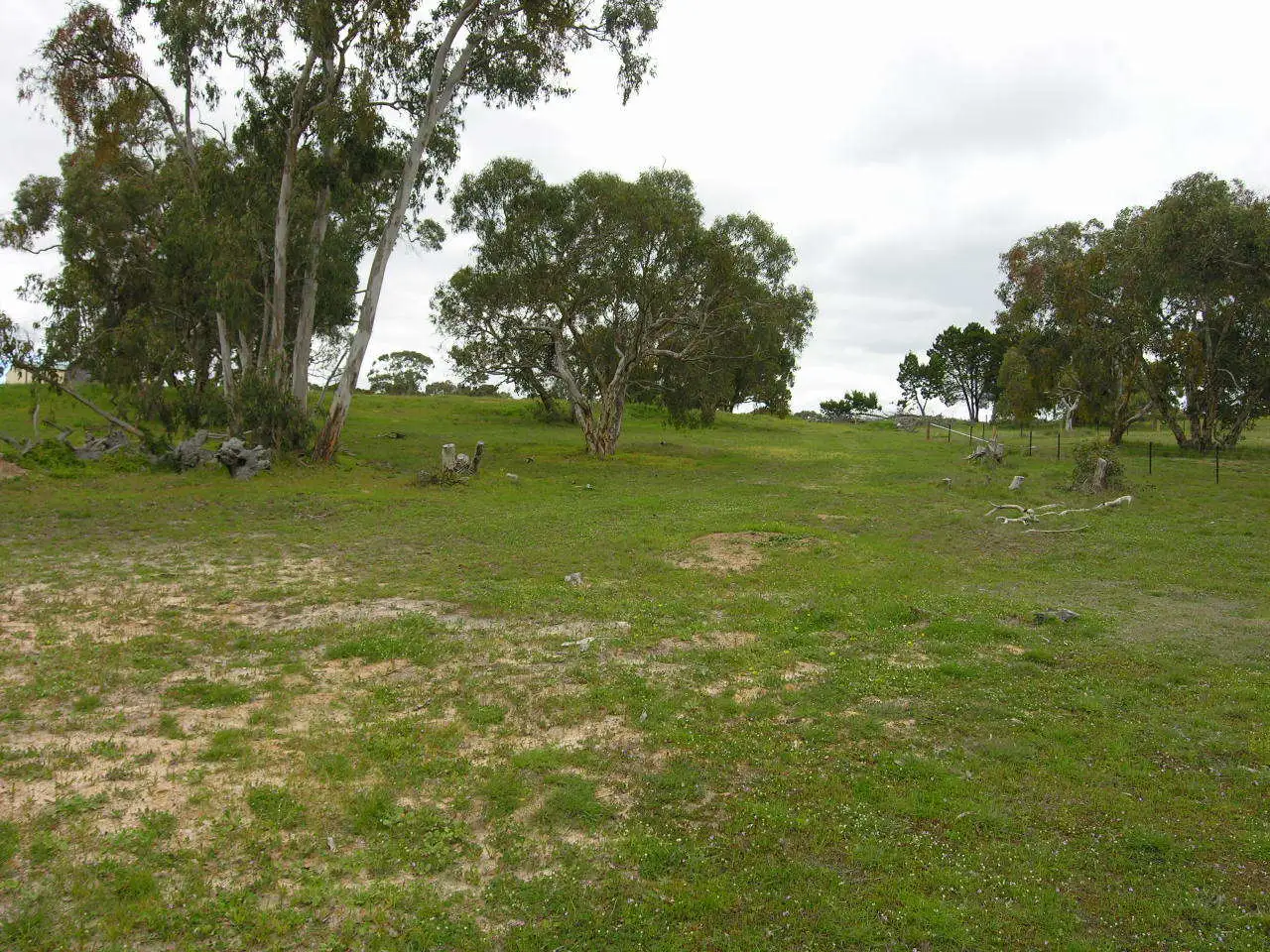 Main view of Homely land listing, Lot 4 Mewett Court, Williamstown SA 5351