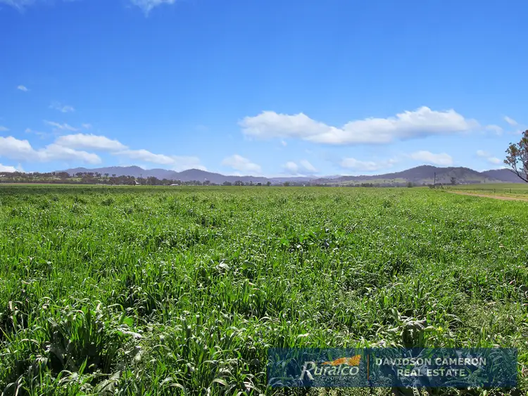 Third view of Homely rural property listing, Duntroon 348 Loomberah Road, Tamworth NSW 2340
