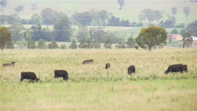 Seventh view of Homely rural property listing, 115 Milford Hills Lane, Scone NSW 2337
