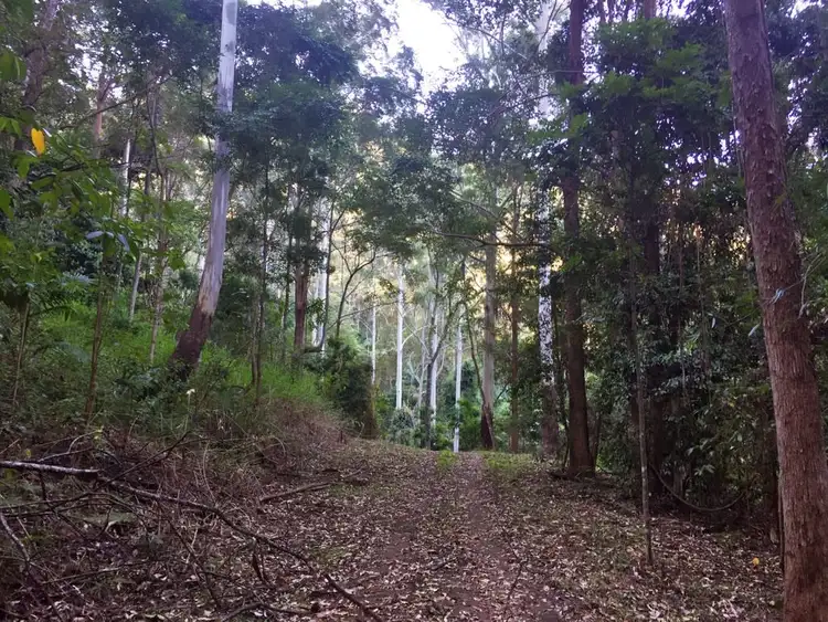 Seventh view of Homely rural property listing, 397 Lindsay Road, Larnook NSW 2480