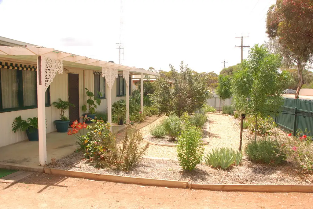 Main view of Homely house listing, 43 Cooper Street, Berri SA 5343