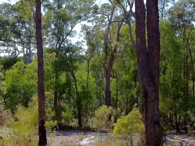 14 (Lot 78) Holly Place, Cowaramup WA 6284