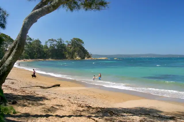 Sixth view of Homely house listing, 8 Beechwood Court, Sunshine Bay NSW 2536