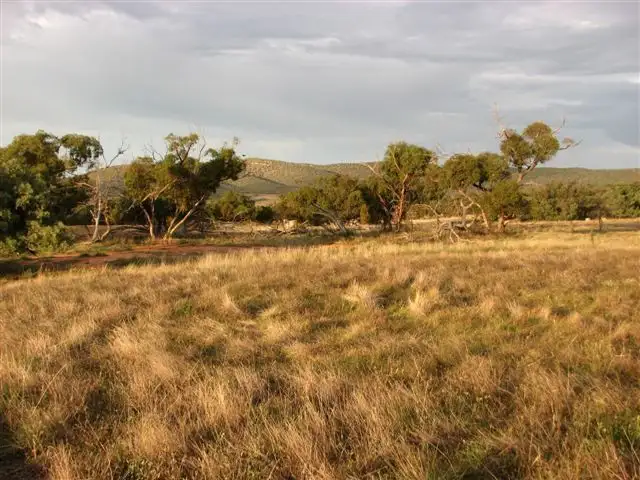 Sixth view of Homely rural property listing, * Arden Vale Road, Quorn SA 5433