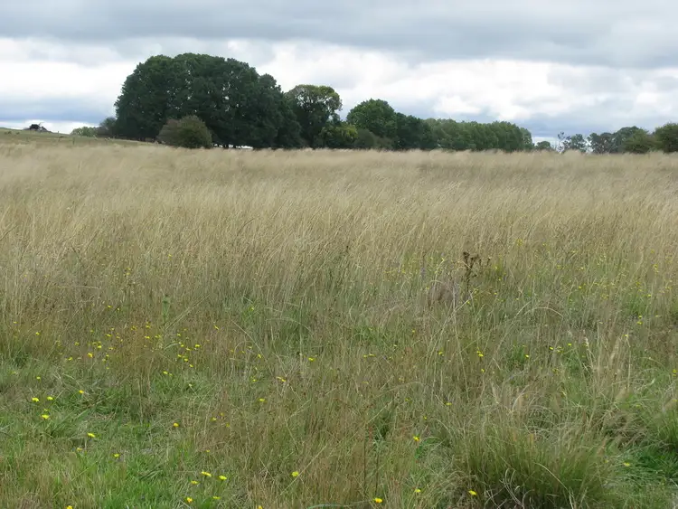 Seventh view of Homely rural property listing, Lot 2 Burns road, Armidale NSW 2350