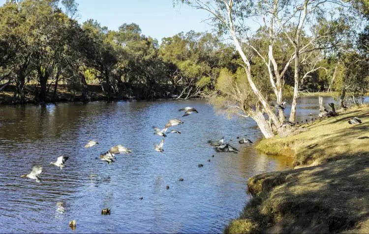 Sixth view of Homely land listing, Lot 503 Colyton St, Viveash WA 6056