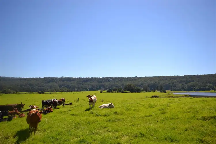Third view of Homely land listing, 72 Bamarang Road, Bamarang NSW 2540