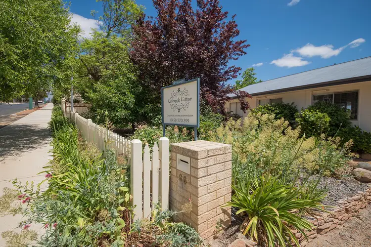 66 WILLIAMS ROAD, Narrogin WA 6312