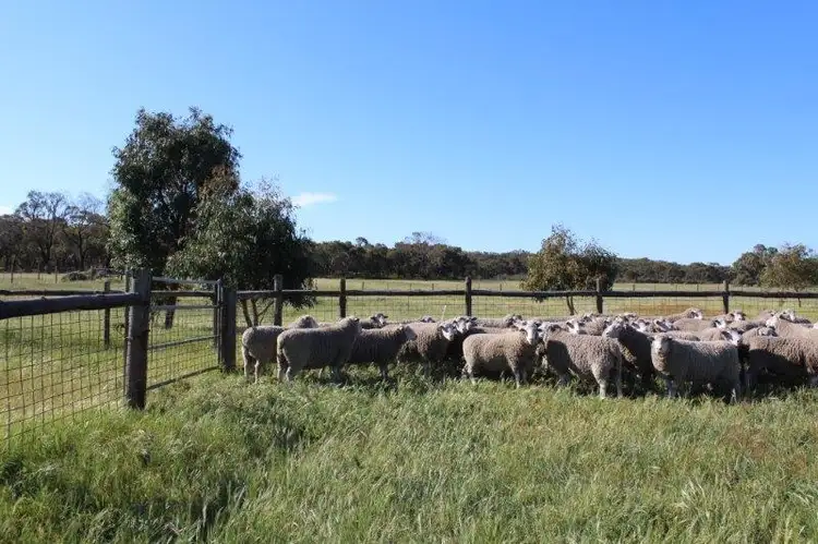 Sixth view of Homely rural property listing, 1 Wattle Range Road, Millicent SA 5280