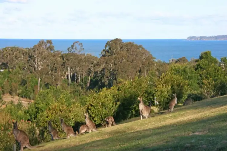 112 Blairs Road, Long Beach NSW 2536