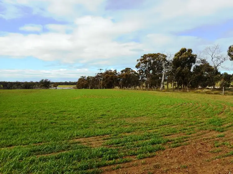 Fourth view of Homely rural property listing, Lot 11 Doyle Rd, Arthur River WA 6315
