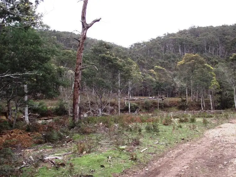 Sixth view of Homely rural property listing, . Henry Street, Mangana TAS 7214