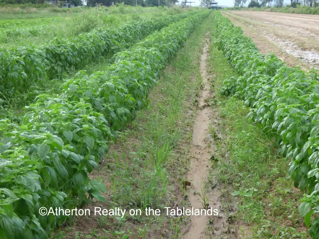 Main view of Homely rural property listing, Address available on request