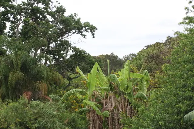 Third view of Homely house listing, 165 Main Road, Cardiff NSW 2285