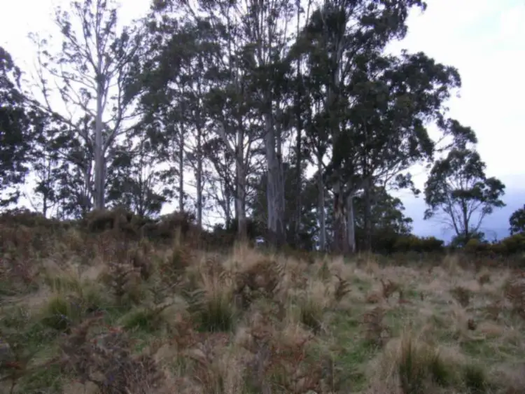 Third view of Homely rural property listing, 947 Sawpit Hill Road, Blessington TAS 7212
