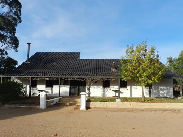 17366 Sturt Highway, Barmera SA 5345
