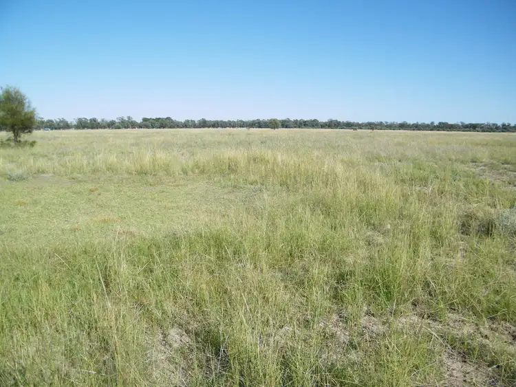 Seventh view of Homely rural property listing, "Sutton Grange", Meandarra QLD 4422