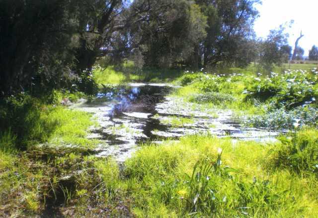 Lot 62 Neaves Road, Bullsbrook WA 6084
