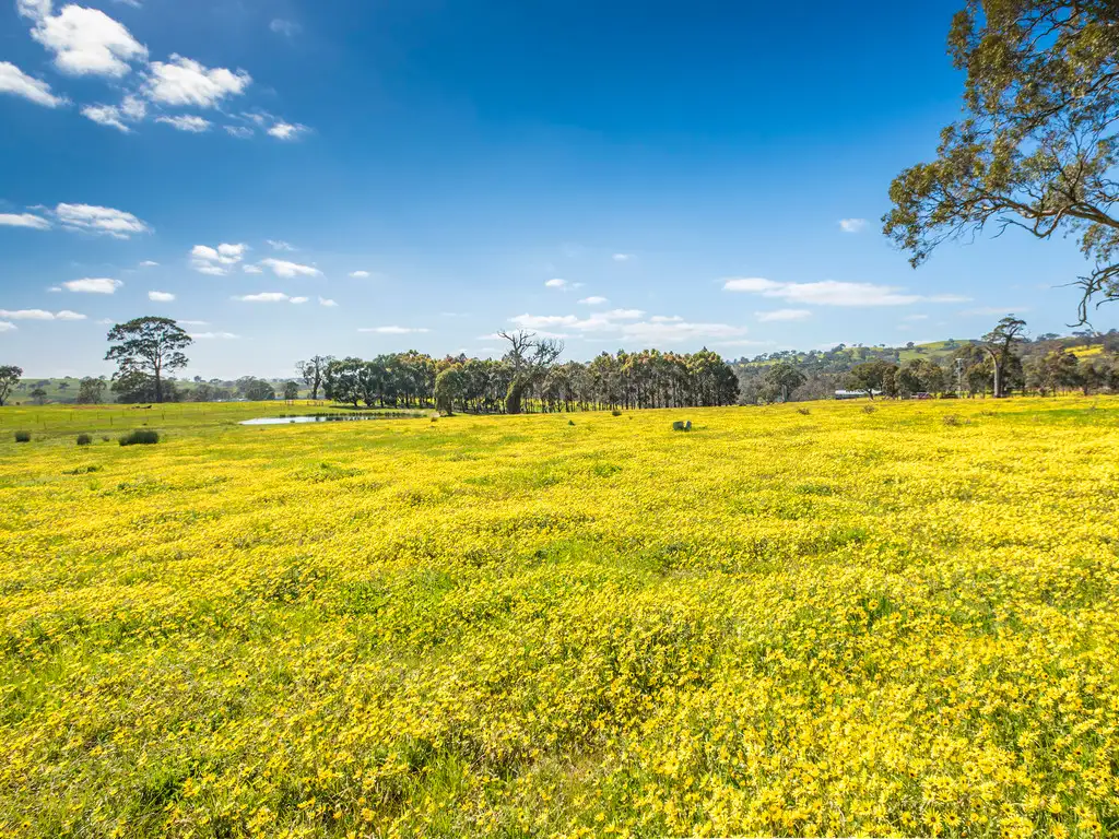 Main view of Homely land listing, Address available on request