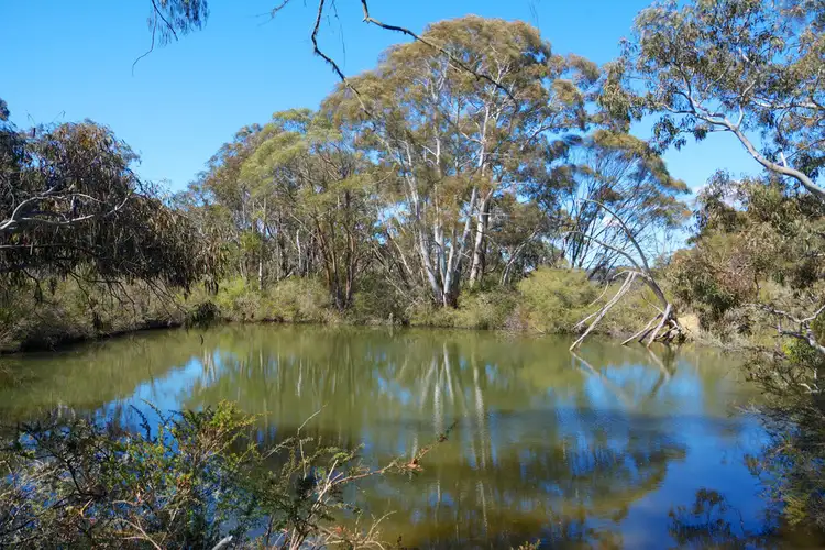 Fifth view of Homely rural property listing, Lot 1, 41-69 Mount Blackheath Road, Blackheath NSW 2785