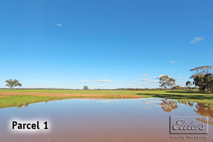 Second view of Homely rural property listing, 295 Engi Road, Neilborough VIC 3570