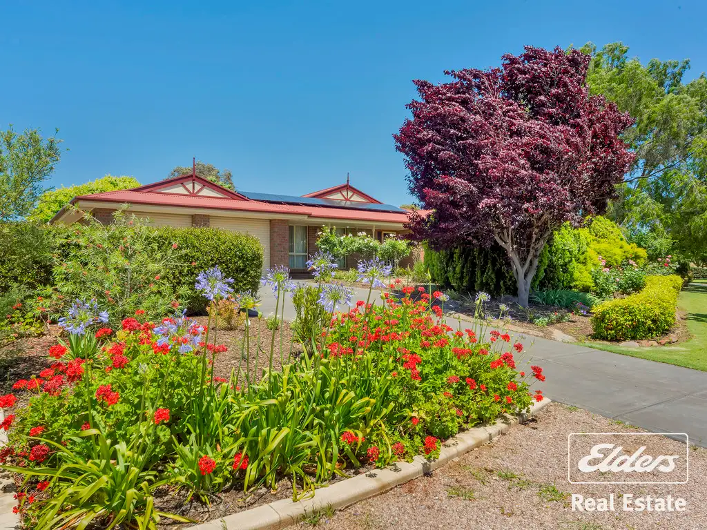 Main view of Homely house listing, 1 Samuel Stephens Court, Lyndoch SA 5351