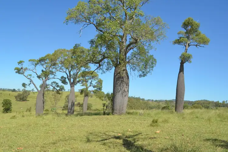 Fourth view of Homely rural property listing, Address available on request