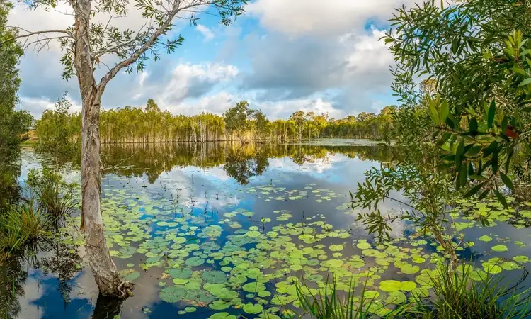 Fourth view of Homely rural property listing, 625 Counter Road, Wolvi QLD 4570