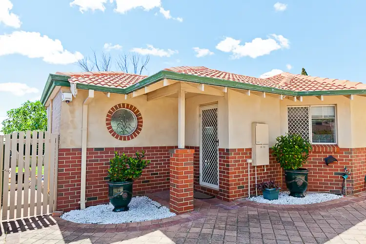 Main view of Homely house listing, 3/15 Jedda Road, Balcatta WA 6021