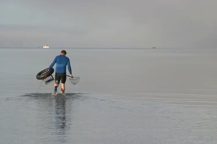 Sixth view of Homely land listing, Lot 324 Gallinago Loop, Coodanup WA 6210