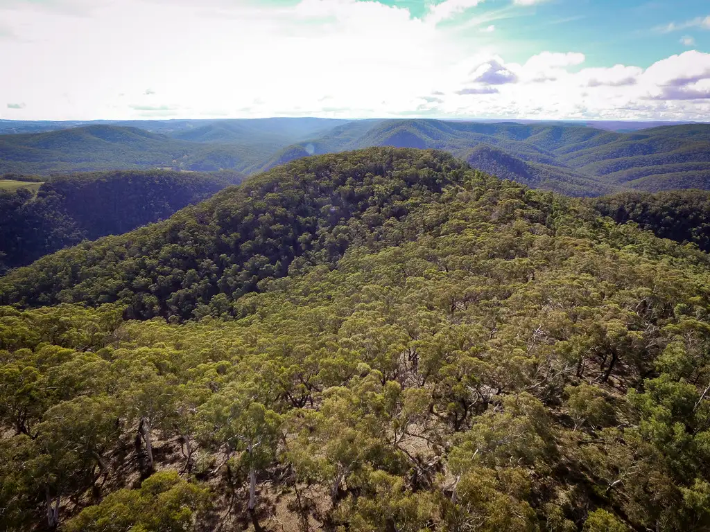 Main view of Homely rural property listing, 705 Bannaby Road, Bannaby NSW 2580