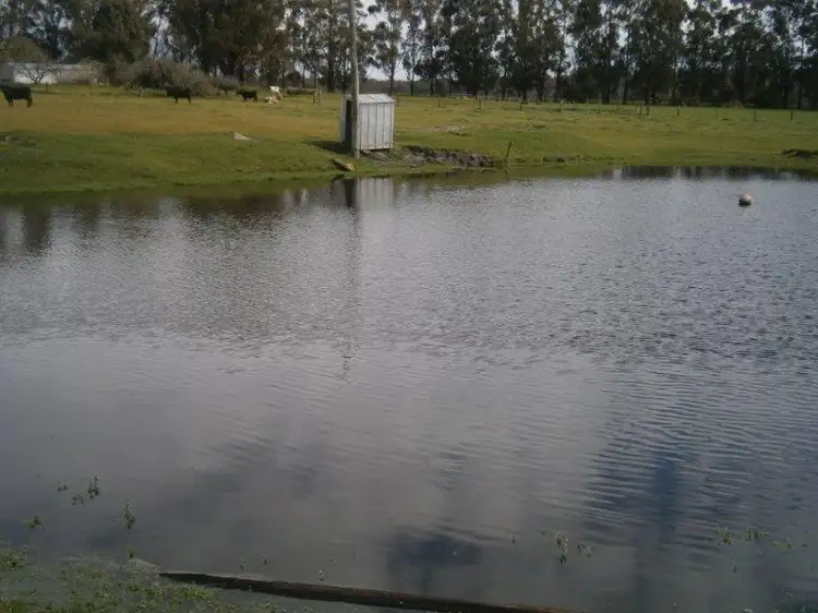 Third view of Homely rural property listing, 4508 Donnybrook Boyup Brook Rd, Noggerup WA 6225